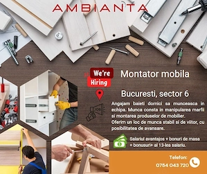 Montator mobila sector 6