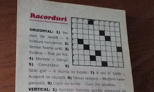 292. Carte calendar 2009, integrame, cuvinte încrucișate, rebus, umor, caricaturi  - imagine 2