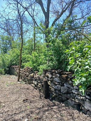 30min de Mangalia,casa piatra,pretabil vânători,vacanță,bodegă,ferită de priviri indiscrete