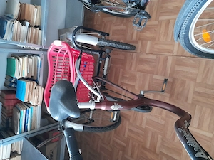 Vind bicigleta 3 roti