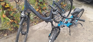 bicicleta dama - imagine 2