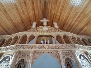 DOMENIU DE VANZARE  IN BORZESTI   ONESTI TABARA DE COPII,AZIL BATRANI,CENTRU DE SANATATE