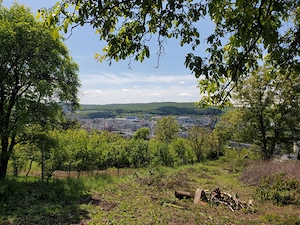 De vânzare teren în Târgu Mureș - Platou - imagine 3