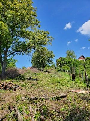 De vânzare teren în Târgu Mureș - Platou - imagine 2