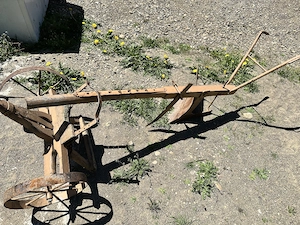 Plug după cal penstru arat 