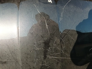 Vand capota Skoda Octavia 3 - imagine 3