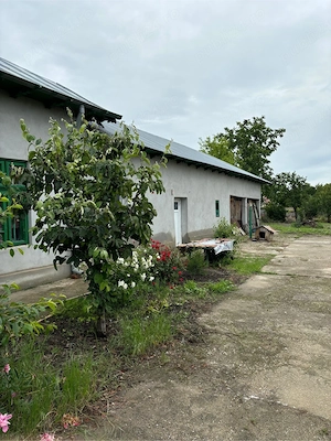 Casă de vânzare Calomfirești - imagine 2