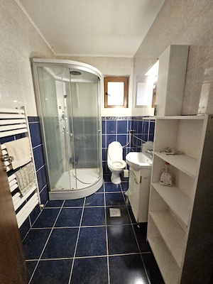 De inchiriat casa individuala la Ghiroda  - imagine 15
