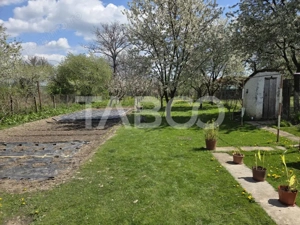 Casa individuala de vanzare 3 camere curte si gradina Beclean - imagine 4