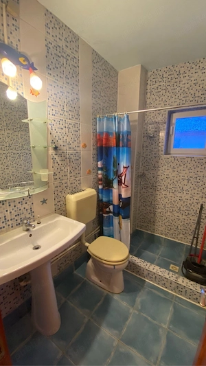 Câmpia Liberatii - Baba Novac  - imagine 9