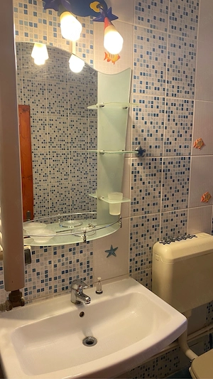 Câmpia Liberatii - Baba Novac  - imagine 8