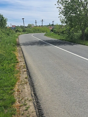Proprietar - Vând 2 hectare la intrarea în Bencecu de Sus, front la drum asfaltat - imagine 8