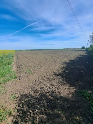 Proprietar - Vând 2 hectare la intrarea în Bencecu de Sus, front la drum asfaltat - imagine 7