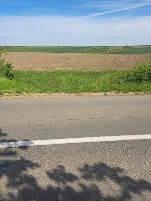 Proprietar - Vând 2 hectare la intrarea în Bencecu de Sus, front la drum asfaltat - imagine 9