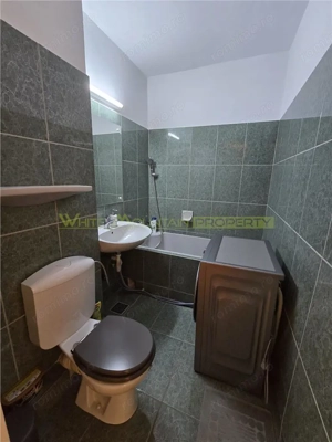 Bd Ferdinand, apartament 2 camere - imagine 8