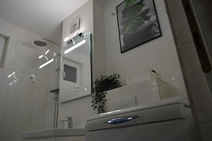 Regim Hotelier - imagine 3