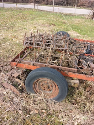 vand disc romanesc  - imagine 3