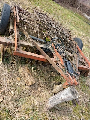 vand disc romanesc  - imagine 2