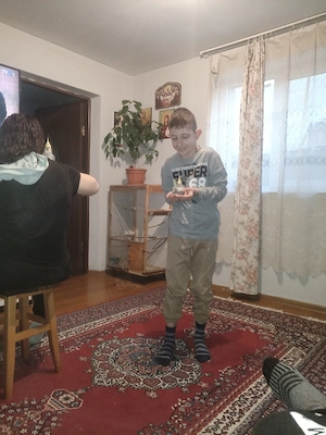 Pui papagali nimfa  - imagine 5