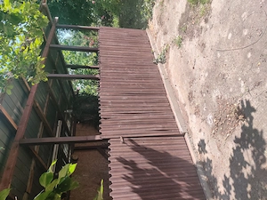 Casa Marsa Giurgiu - imagine 5