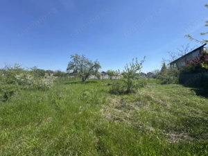 Teren Premium 2775mp Olteni – Utilități complete, la asfalt, potential ridicat - imagine 3