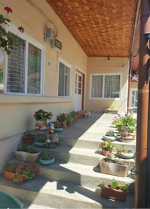 Urgent Casă plus teren ! - imagine 7