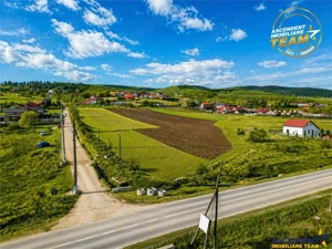 Proprietate remarcabila: 32.000mp teren, acces direct DJ112,Ilieni,Covasna - imagine 6