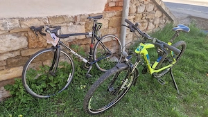 Biciclette Fischer MORRISON Race light, carrera.