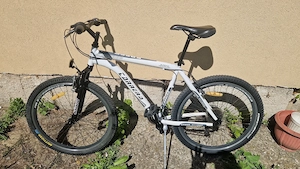 Biciclette Fischer, Buls ,Carera.