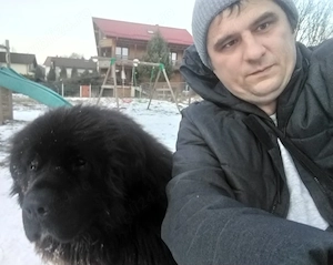 Dresaj canin  - imagine 5