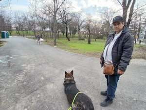 Dresaj canin  - imagine 3