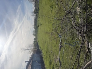 teren de vanzare fac eni ialomita