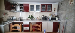 Casa si un teren de 3000mp, Mitocul Dragomirnei - imagine 7