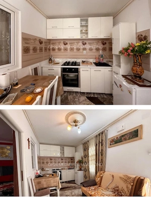 Vind apartame la curte comuna  - imagine 4