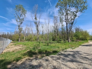 Teren de vanzare / Dem Radulescu