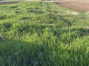 Teren Intravilan de vanzare in Alba Iulia zona Micesti in suprafata de 1077 mp