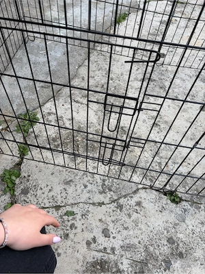 vand tarc pentru caini sau alte animale  - imagine 3