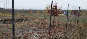 Teren de vânzare  - imagine 7