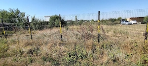 Teren de vânzare  - imagine 8