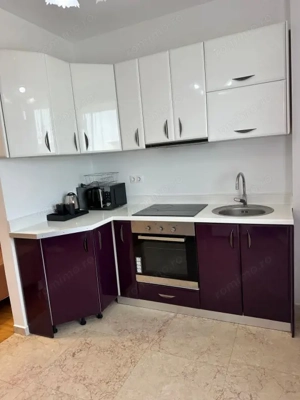 Exclusive Residence Copou Apartament Liber  - imagine 8