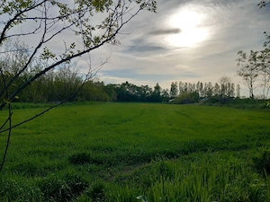 Vând Teren - imagine 2