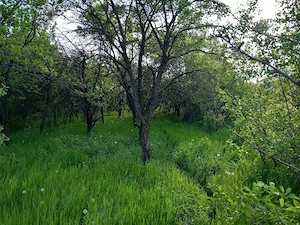 Vând Teren - imagine 3