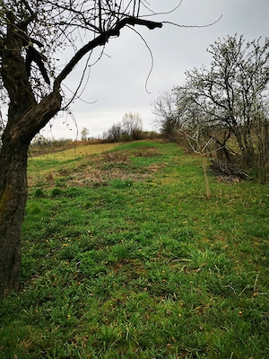 Casa cu teren de vanzare - imagine 4