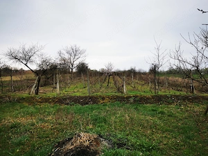 Casa cu teren de vanzare - imagine 7