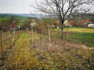 Casa cu teren de vanzare - imagine 6