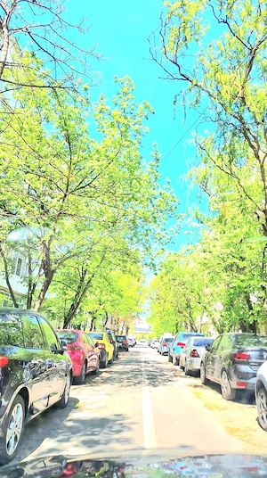 P. Fizică   Apart. 2 cam. Deco. et. Et.3 din4 - Mobilat. Parcare - imagine 4