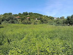 De vânzare casa semifinisata Remetea Chioarului  - imagine 3