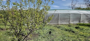 Casa Valea macrisului - imagine 4