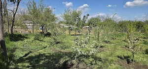 Casa Valea macrisului - imagine 6