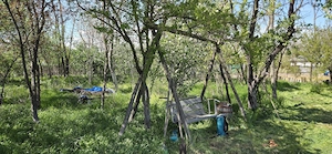 Casa Valea macrisului - imagine 5